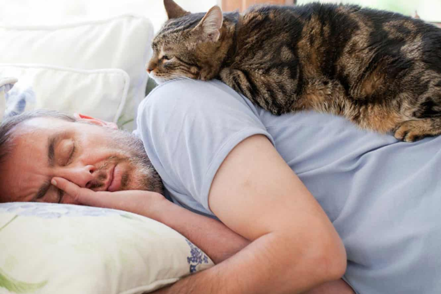 Πώς εξηγείται να με μυρίζει η γάτα μου όταν κοιμάμαι