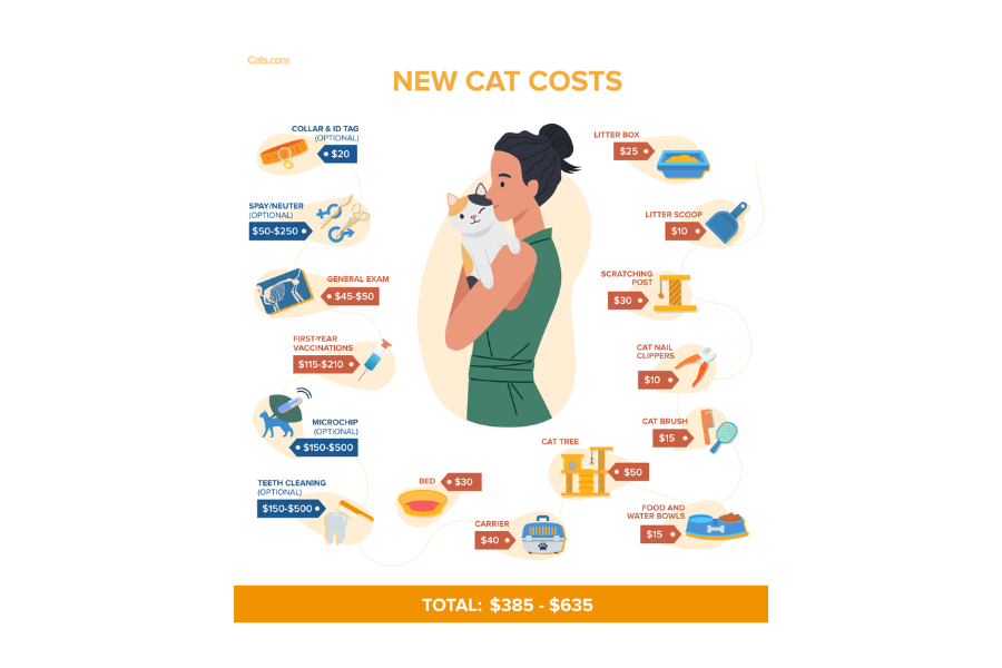 Πόσο είναι το ετήσιο κόστος του να έχεις γάτα
