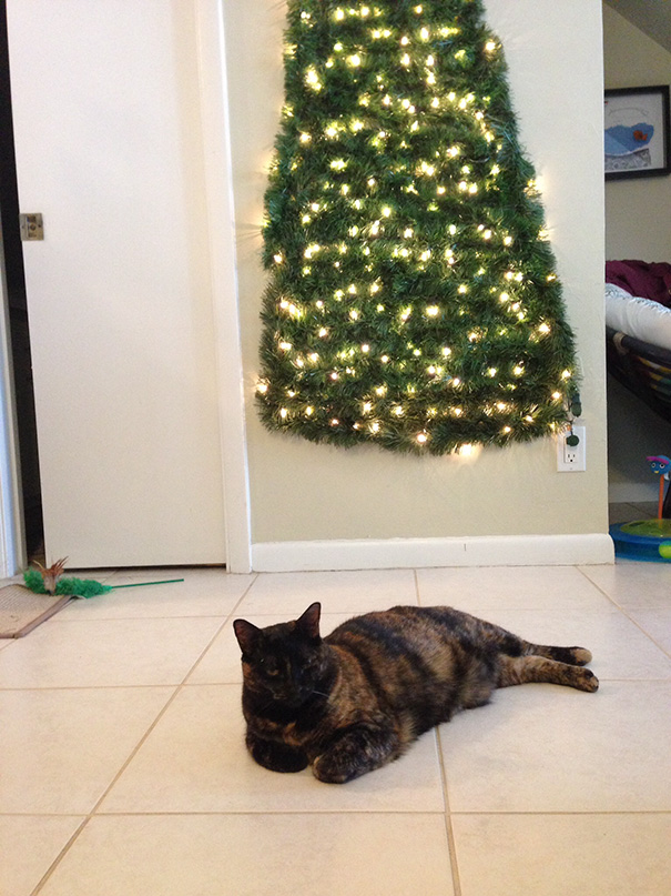 Χριστουγεννιάτικο δέντρο για γάτα